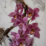 03 Orchid Delight