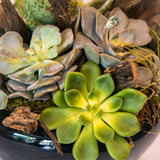 13 Glamorous Green