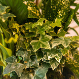 15 Secret Greenery